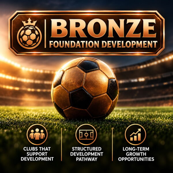 Bronze-thumbmail Foundation Development